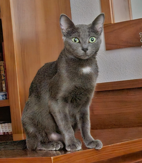 Fiona