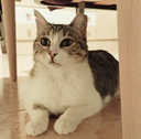 Cloudy