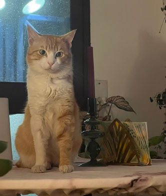 Naranjito