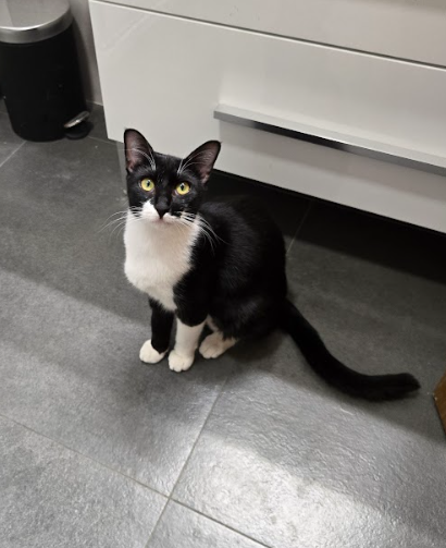 [2024/043] Bárbara/Barbi